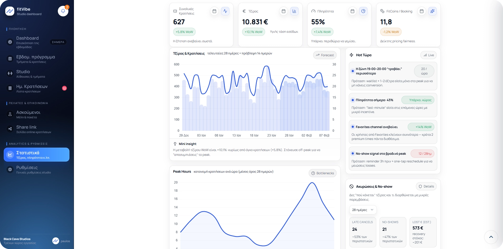Στατιστικά και αναφορές στο fitVibe dashboard