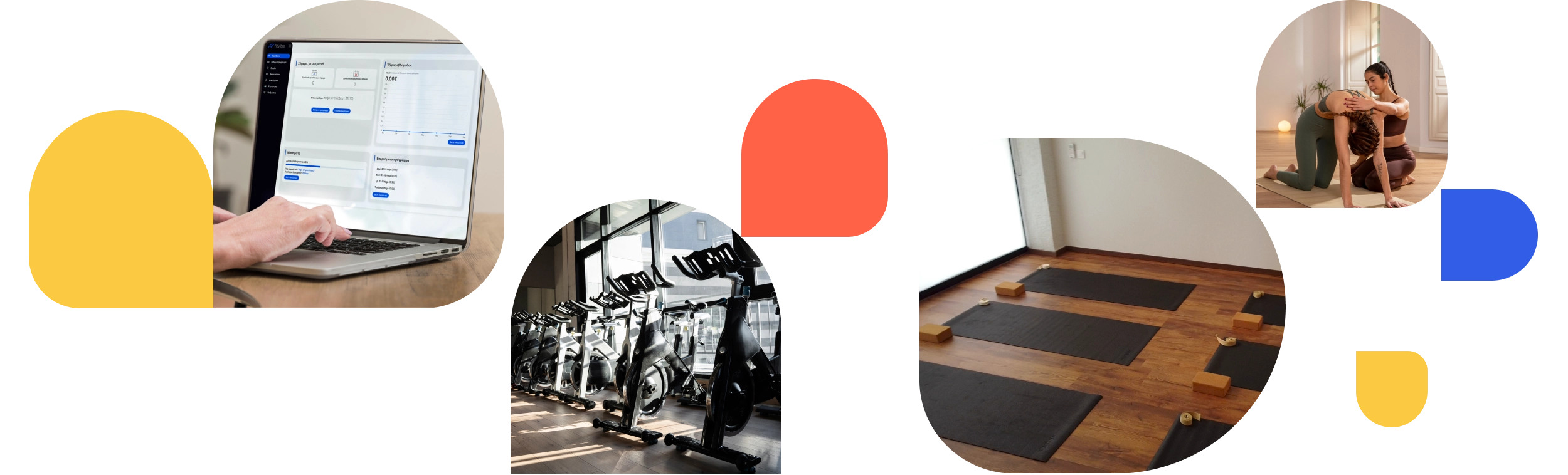 fitVibe Plus dashboard σε desktop